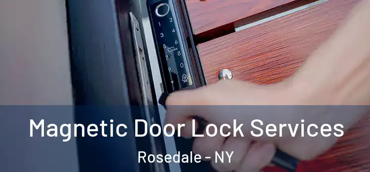 Magnetic Door Lock Services Rosedale - NY