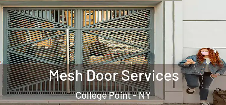  Mesh Door Services College Point - NY