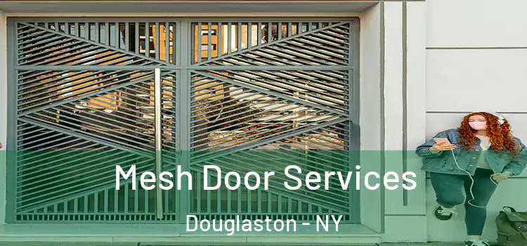 Mesh Door Services Douglaston - NY