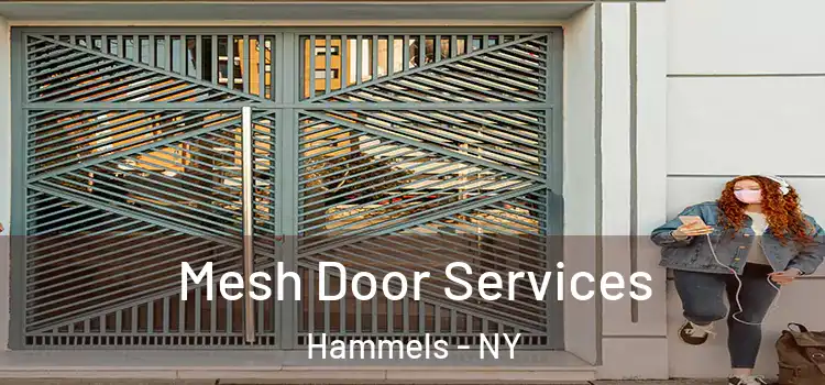 Mesh Door Services Hammels - NY