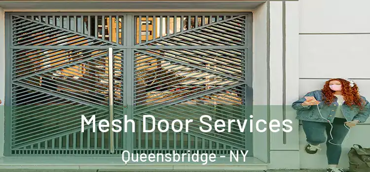 Mesh Door Services Queensbridge - NY