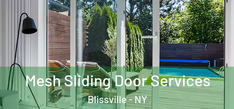 Mesh Sliding Door Services Blissville - NY