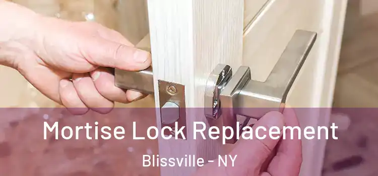 Mortise Lock Replacement Blissville - NY