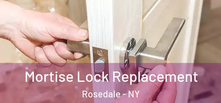 Mortise Lock Replacement Rosedale - NY