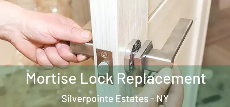 Mortise Lock Replacement Silverpointe Estates - NY