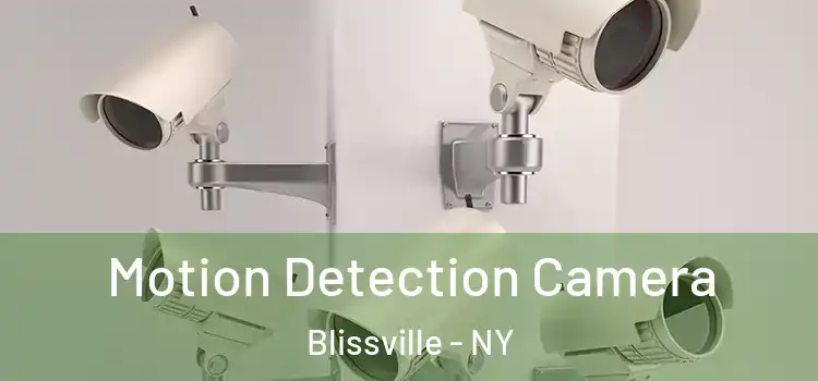  Motion Detection Camera Blissville - NY