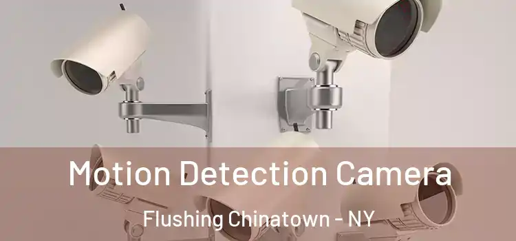  Motion Detection Camera Flushing Chinatown - NY