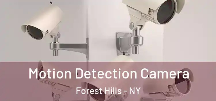  Motion Detection Camera Forest Hills - NY
