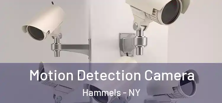  Motion Detection Camera Hammels - NY