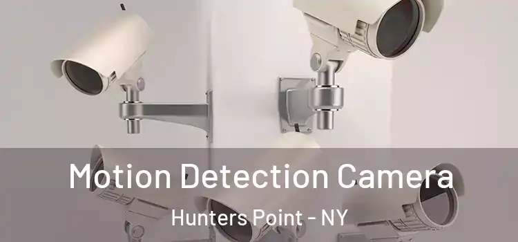  Motion Detection Camera Hunters Point - NY