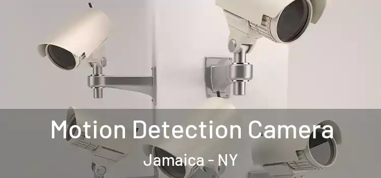  Motion Detection Camera Jamaica - NY