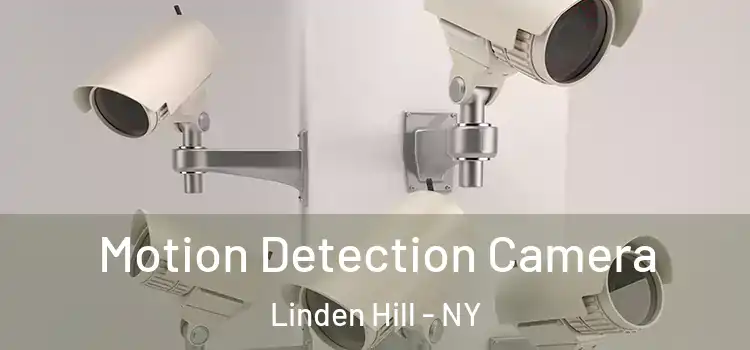  Motion Detection Camera Linden Hill - NY