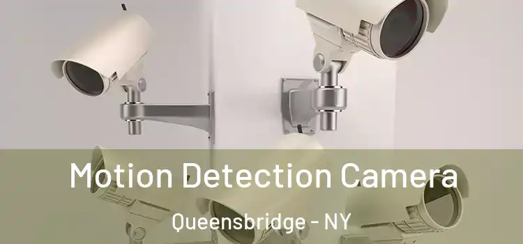  Motion Detection Camera Queensbridge - NY