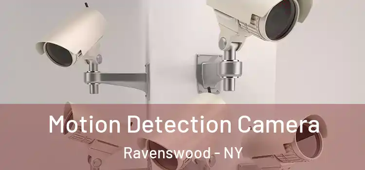  Motion Detection Camera Ravenswood - NY