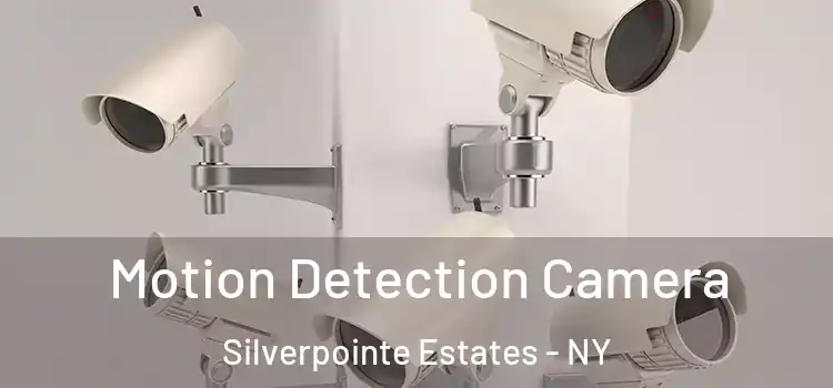  Motion Detection Camera Silverpointe Estates - NY