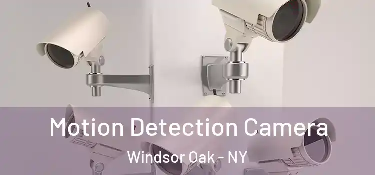  Motion Detection Camera Windsor Oak - NY