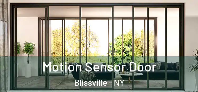 Motion Sensor Door Blissville - NY
