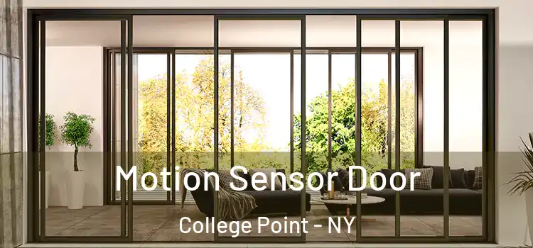  Motion Sensor Door College Point - NY
