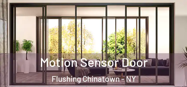 Motion Sensor Door Flushing Chinatown - NY