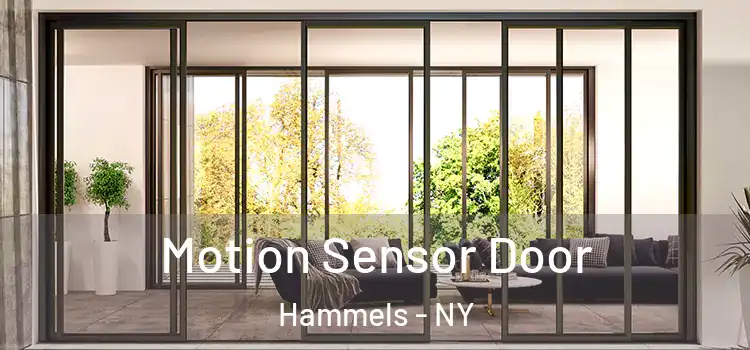 Motion Sensor Door Hammels - NY