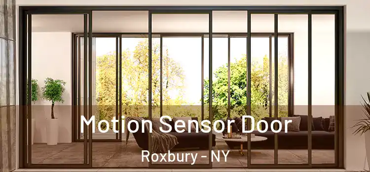 Motion Sensor Door Roxbury - NY