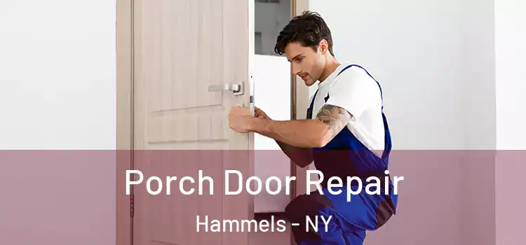  Porch Door Repair Hammels - NY