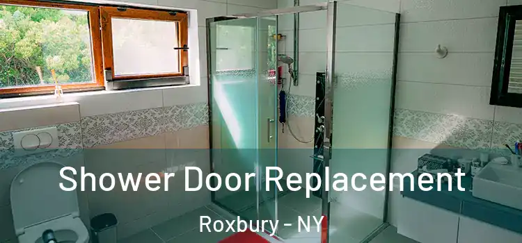 Shower Door Replacement Roxbury - NY