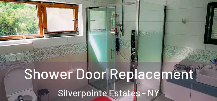 Shower Door Replacement Silverpointe Estates - NY