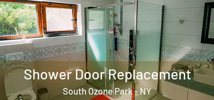 Shower Door Replacement South Ozone Park - NY