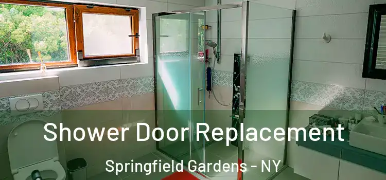 Shower Door Replacement Springfield Gardens - NY