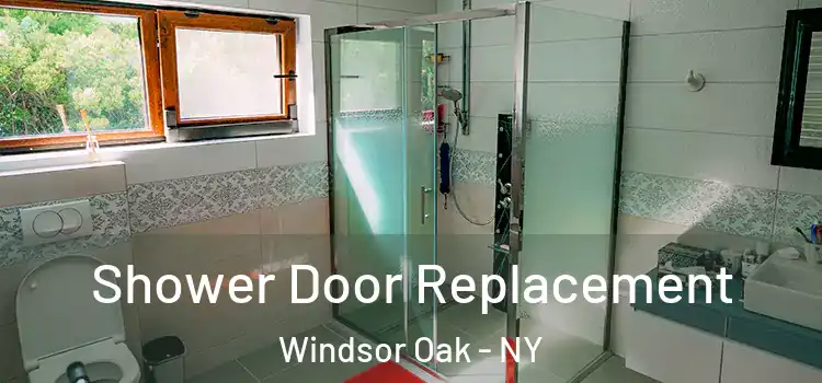 Shower Door Replacement Windsor Oak - NY