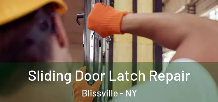  Sliding Door Latch Repair Blissville - NY