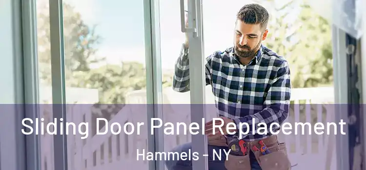  Sliding Door Panel Replacement Hammels - NY