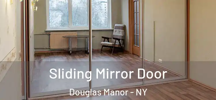  Sliding Mirror Door Douglas Manor - NY