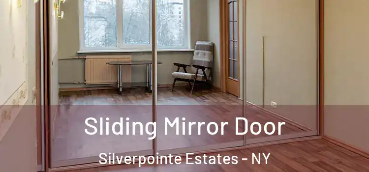  Sliding Mirror Door Silverpointe Estates - NY