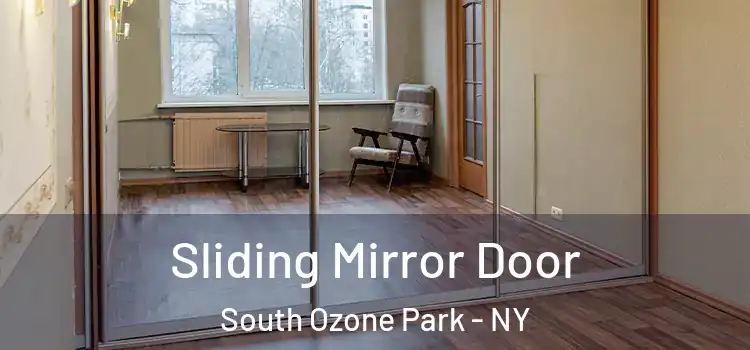  Sliding Mirror Door South Ozone Park - NY