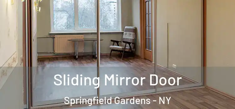  Sliding Mirror Door Springfield Gardens - NY