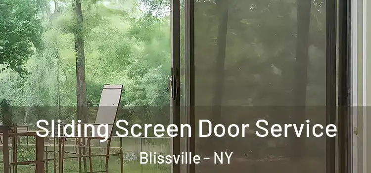 Sliding Screen Door Service Blissville - NY