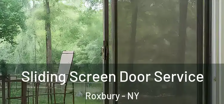 Sliding Screen Door Service Roxbury - NY