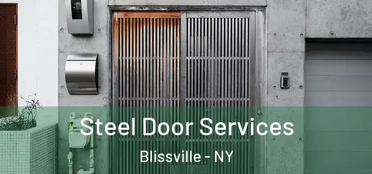 Steel Door Services Blissville - NY