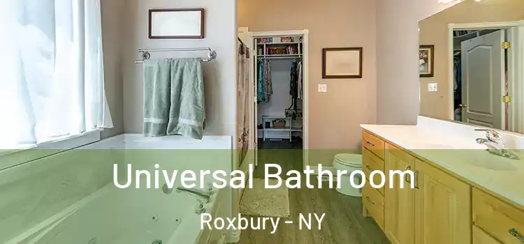 Universal Bathroom Roxbury - NY