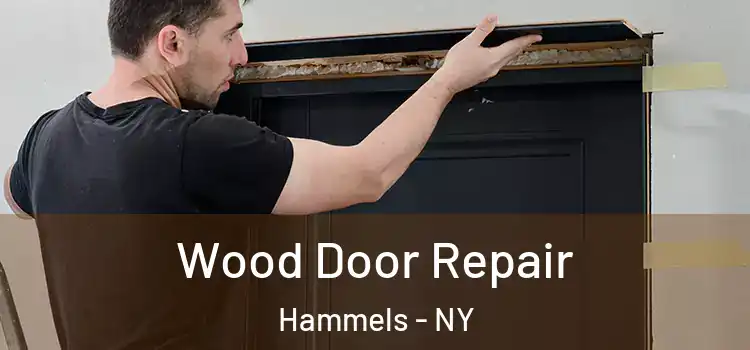  Wood Door Repair Hammels - NY
