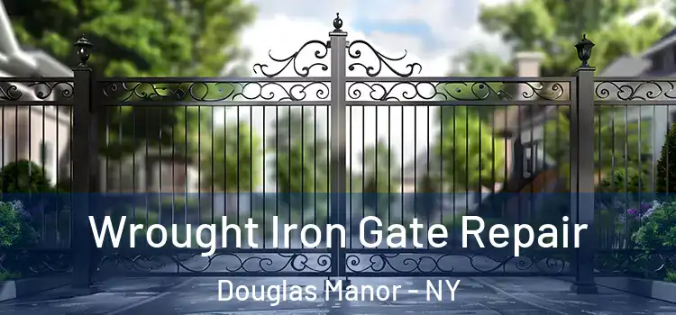 Wrought Iron Gate Repair Douglas Manor - NY
